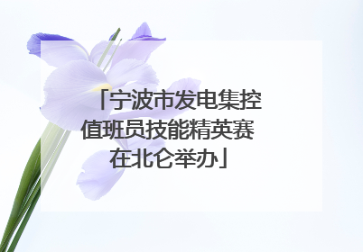 宁波市发电集控值班员技能精英赛在北仑举办